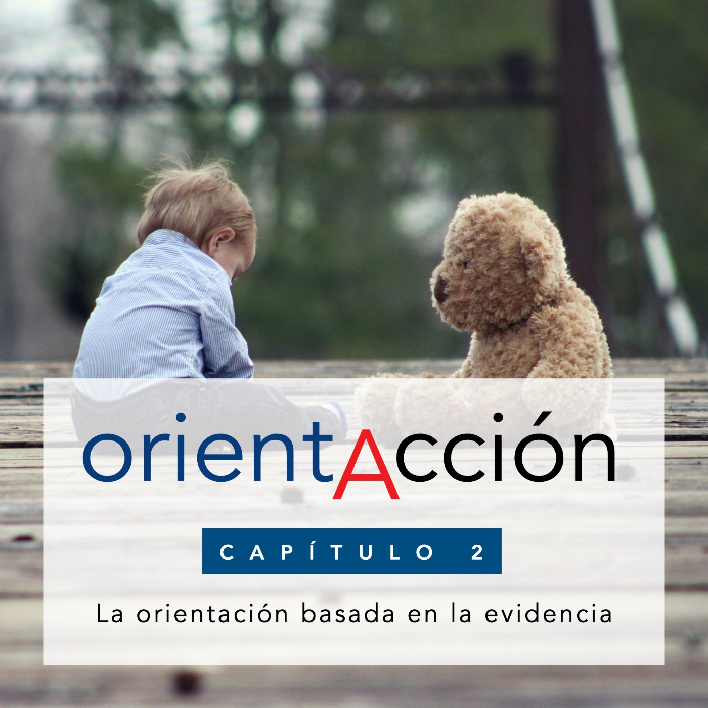 ORIENTACCIÓN. orientación basada en la evidencia