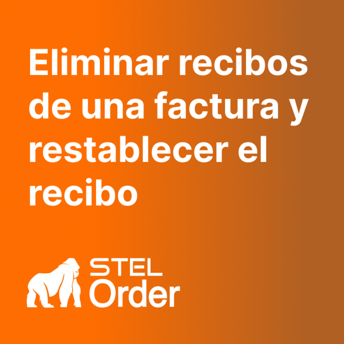 Ayuda y Soporte STEL Order