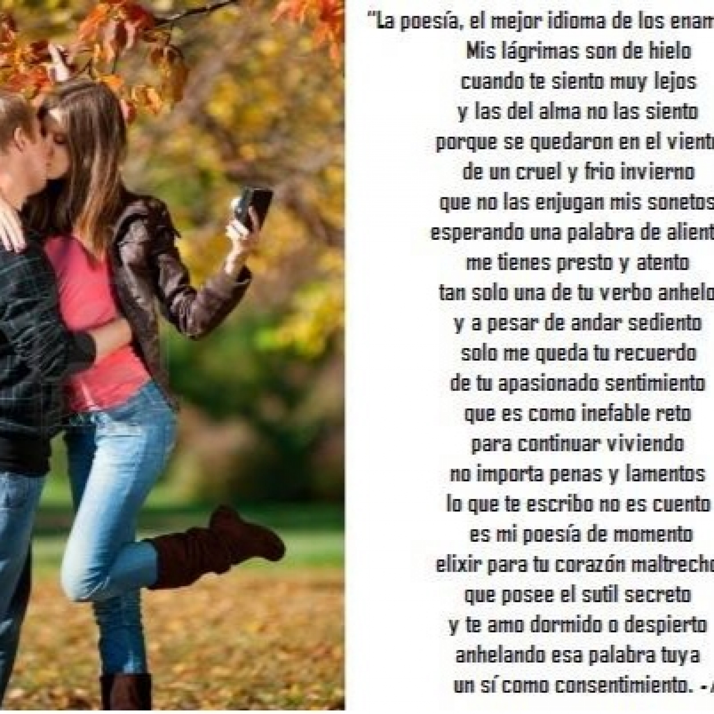 La Poesía, el mejor lenguaje de los enamorados episode artwork