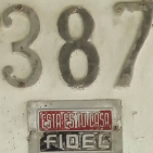 embed image