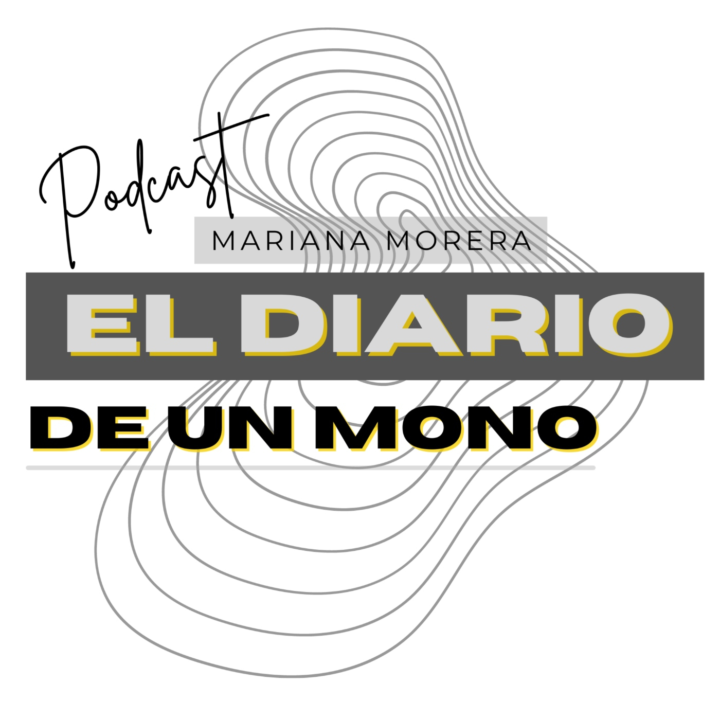 El Diario de un artista