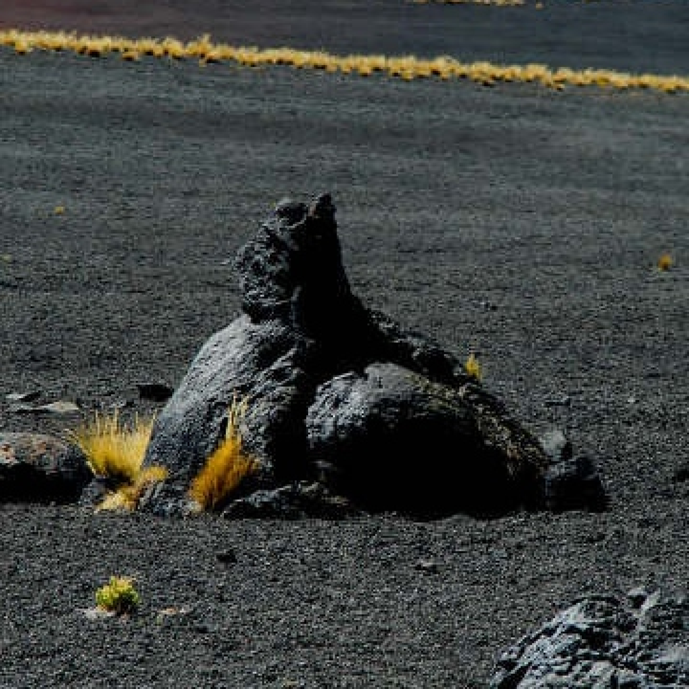 La Payunia, adentrarse en el Volcán Malacara y descubrir destinos únicos en el mundo en Malargüe