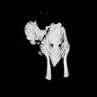 VERSUS: Life's too good (The Sugarcubes) vs. Kveikur (Sigur Rós)