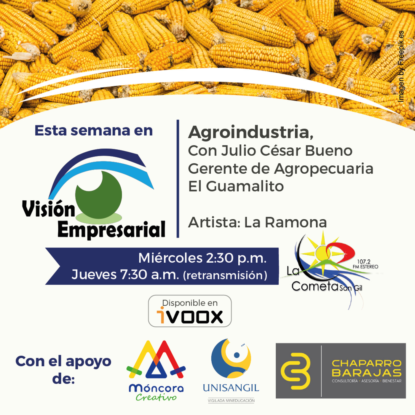 Visión Empresarial
