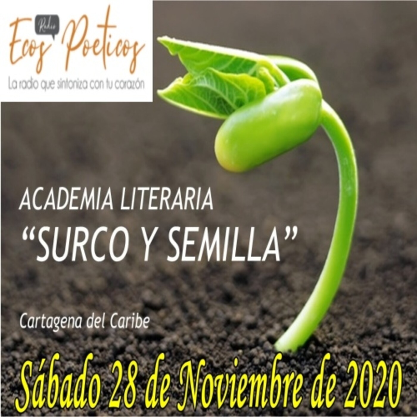 ACADEMIA LITERARIA SURCO Y SEMILLA