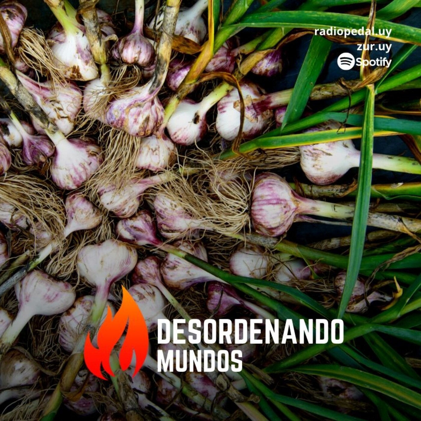Dm #25: Colectivo y chacra agroecológica Paso a Paso (21-04-21) episode artwork