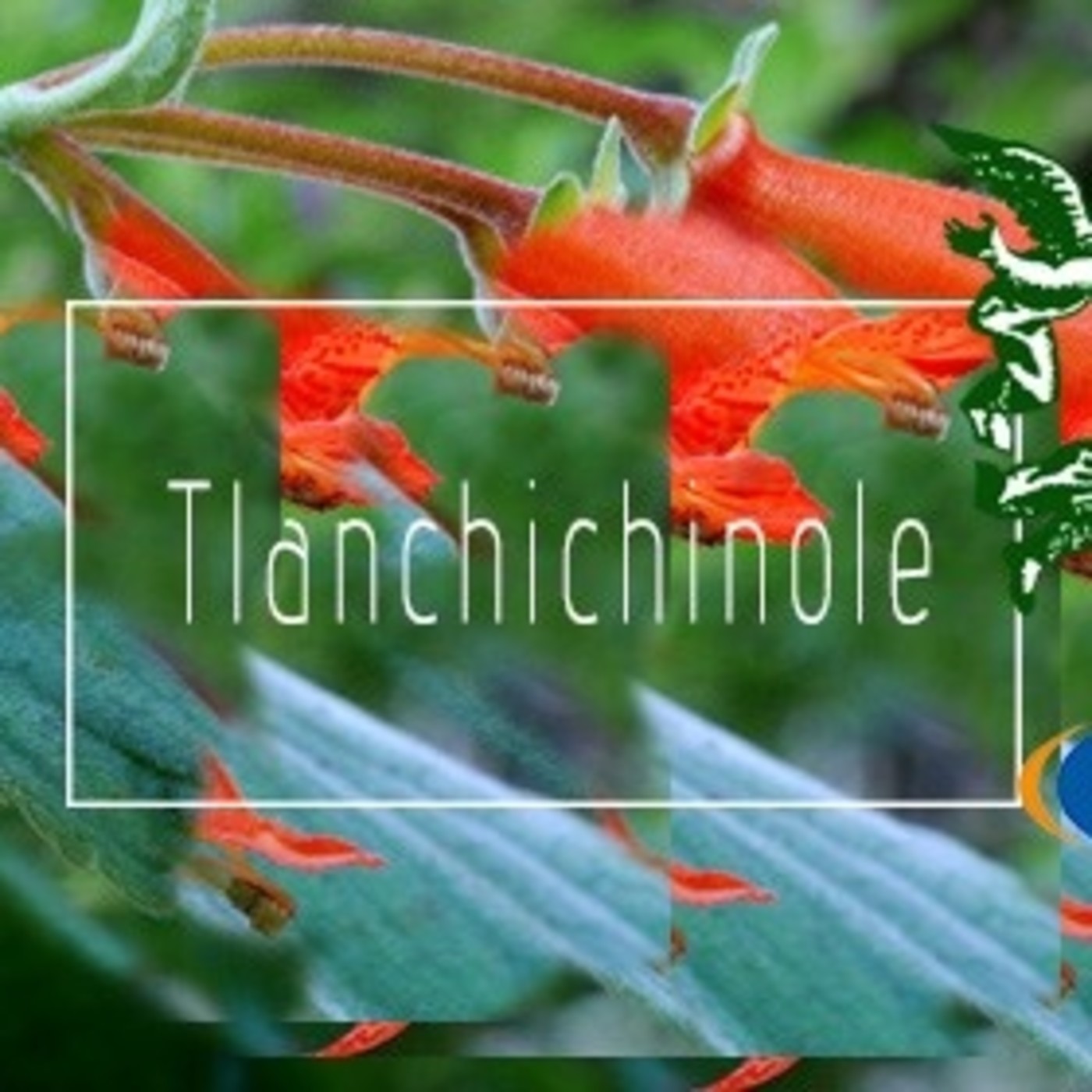 El Ángel de tu Salud - TLANCHICHINOLE I episode artwork