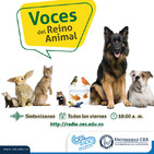 Sonidos de la fauna silvestre
