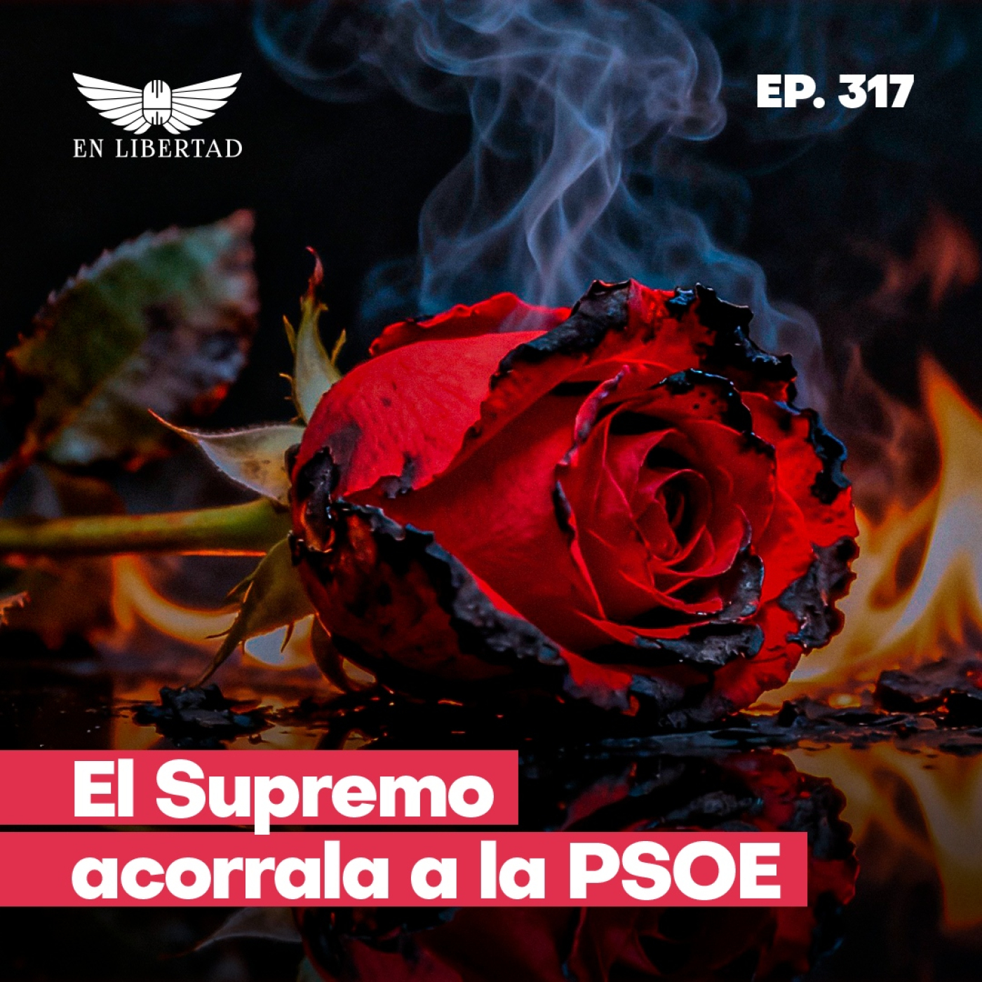 La Guardia Civil señala la contabilidad de la PSOE