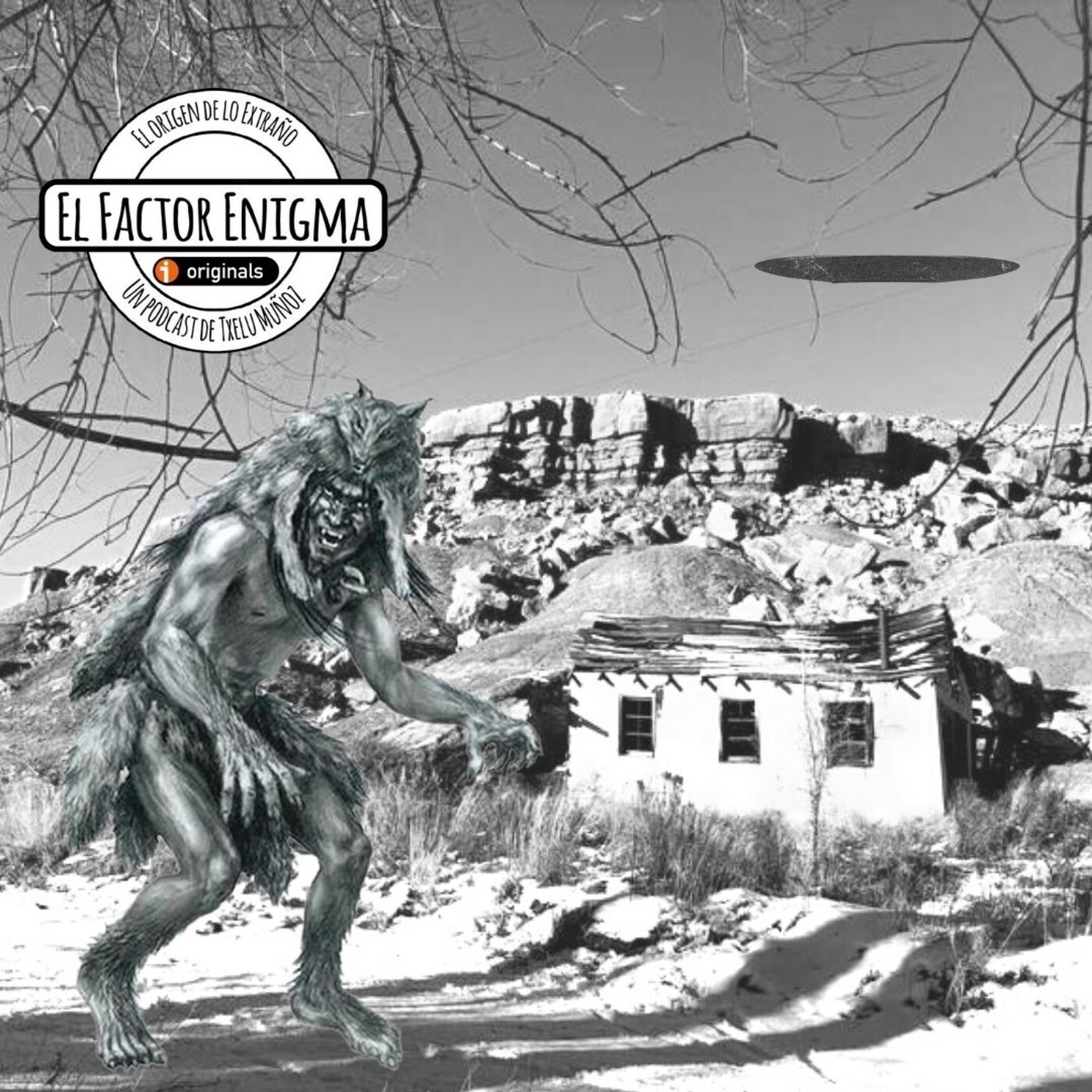 El Factor Enigma