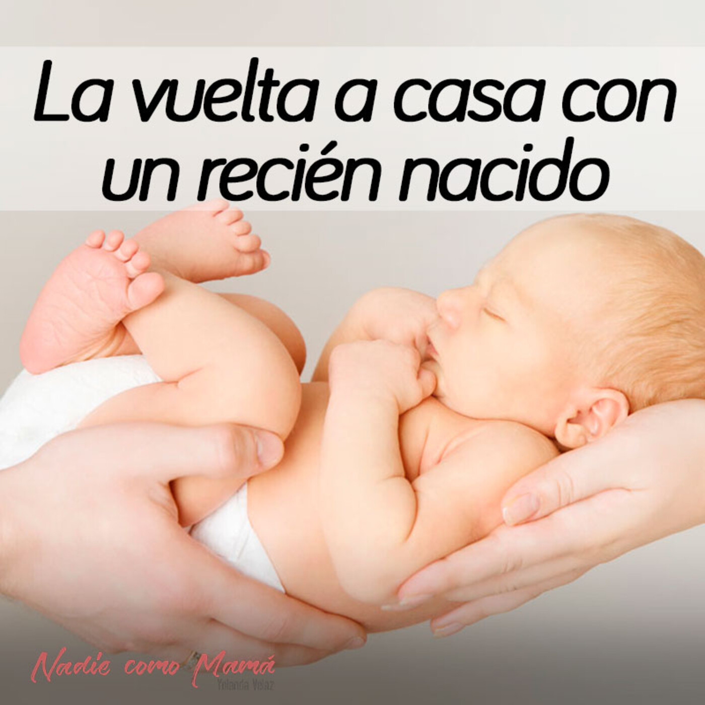 Nadie como mamá y Hoy se come