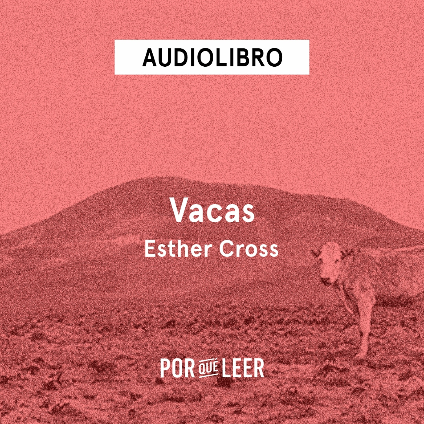 Audiolibros Por qué leer