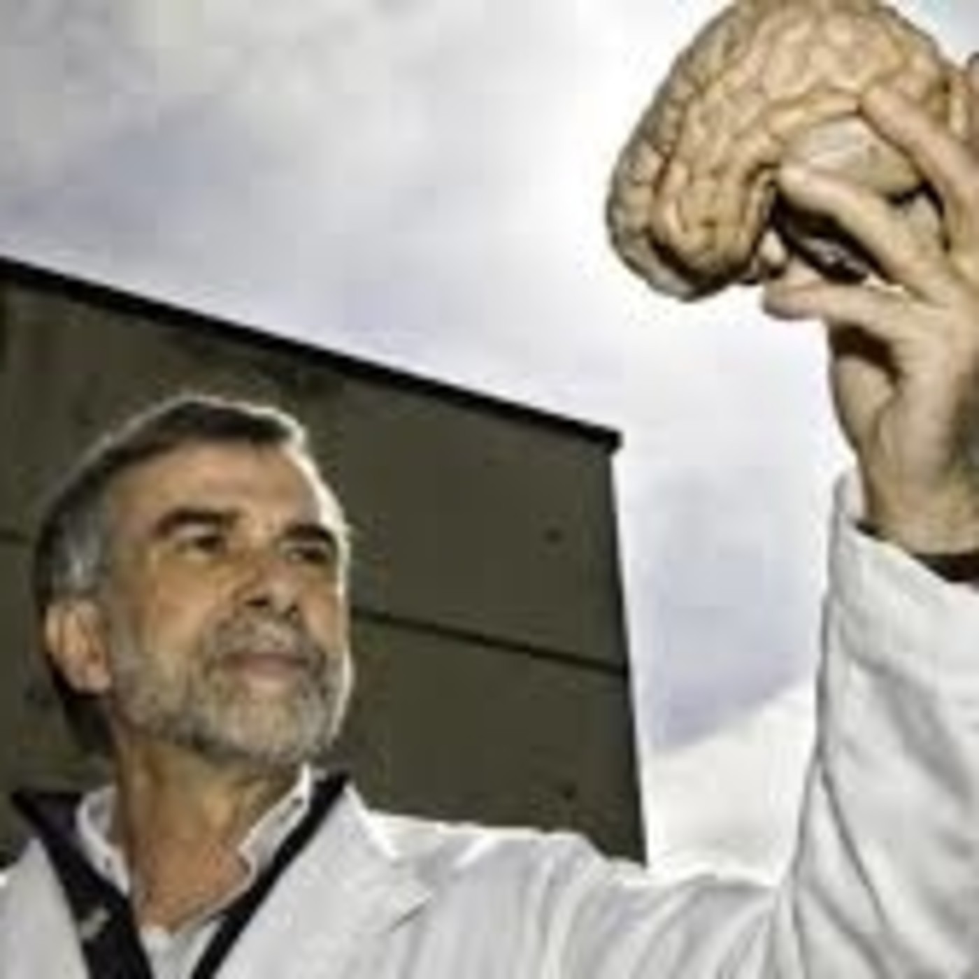 LA VIDA SIN CARBONICO