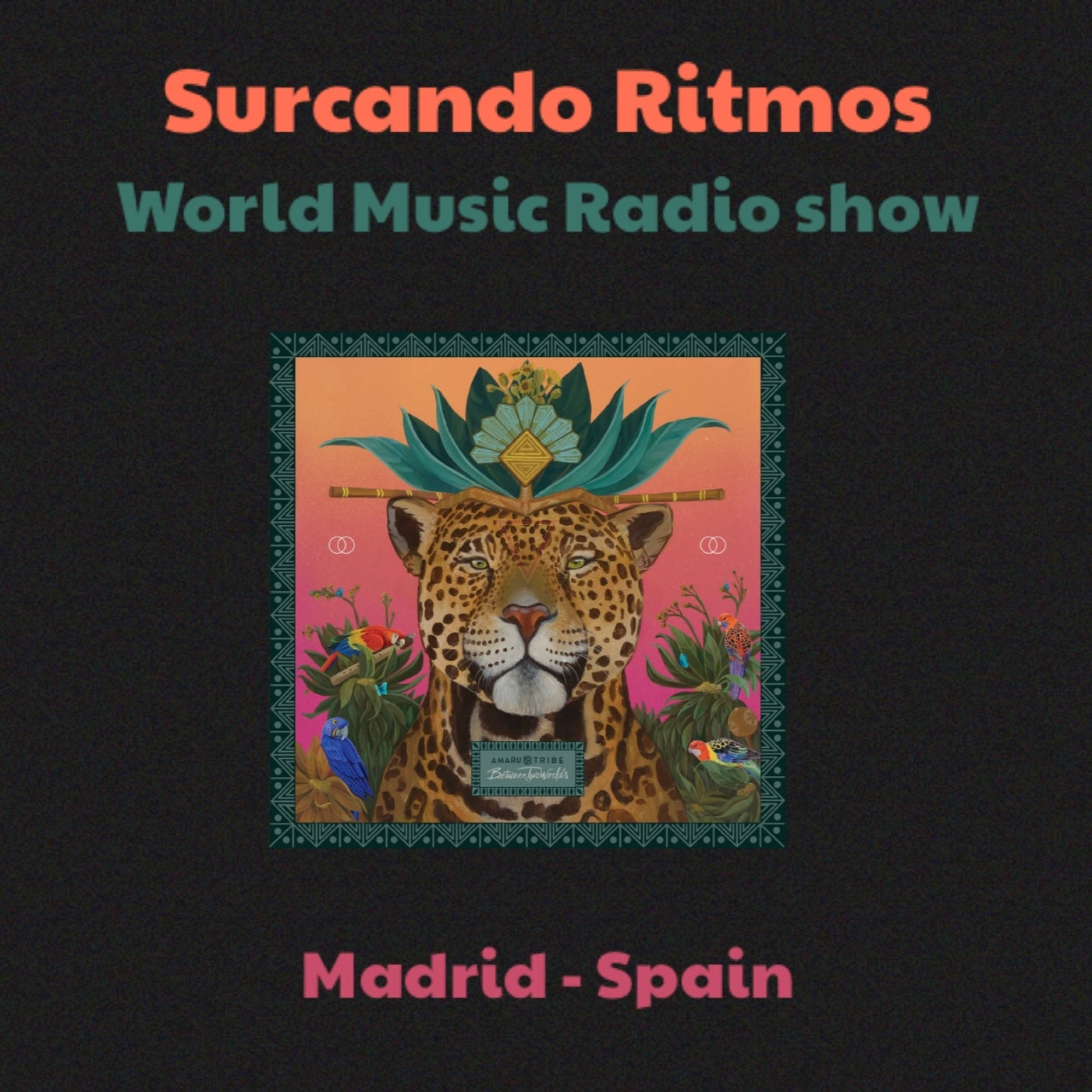 Surcando Ritmos