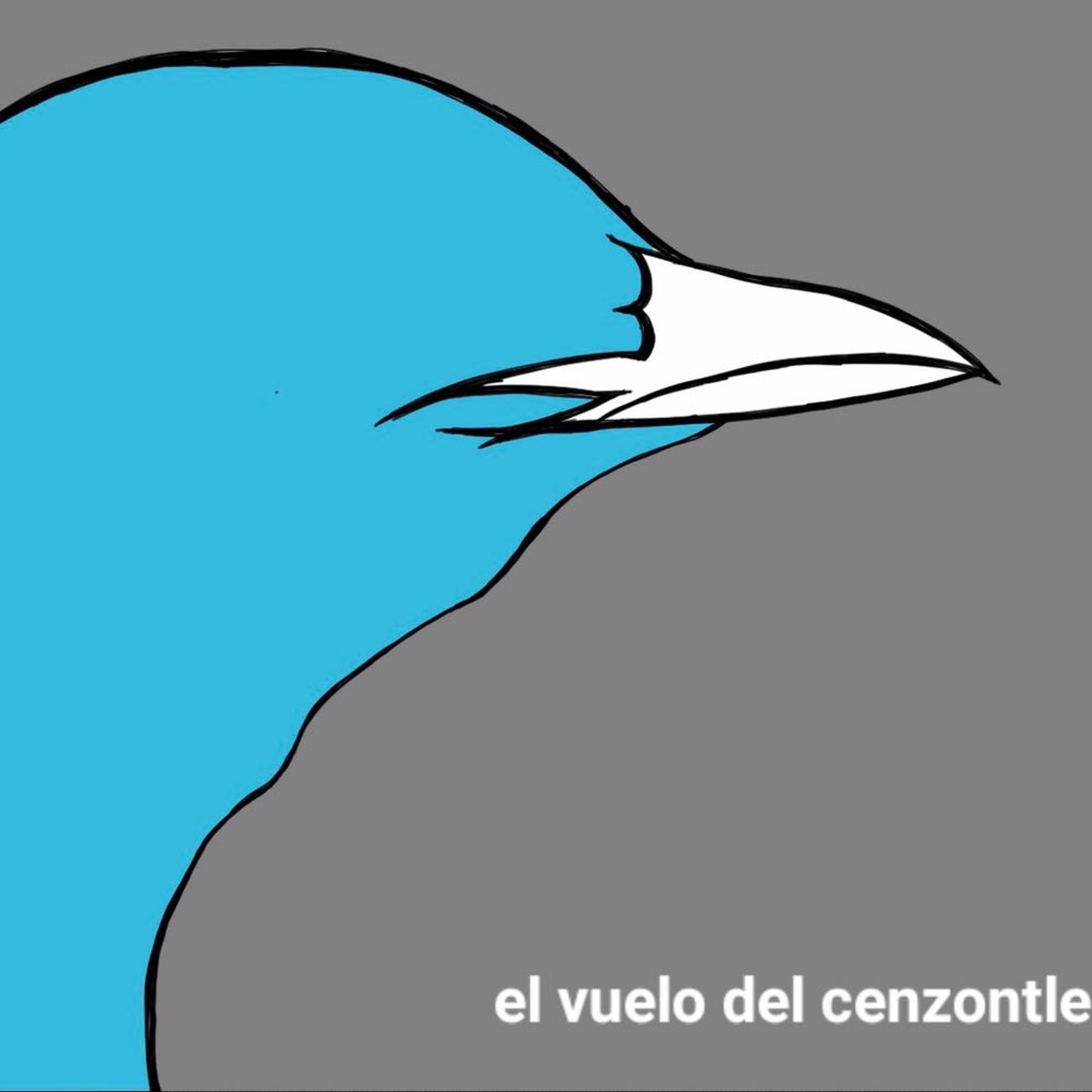 El Vuelo del Cenzontle