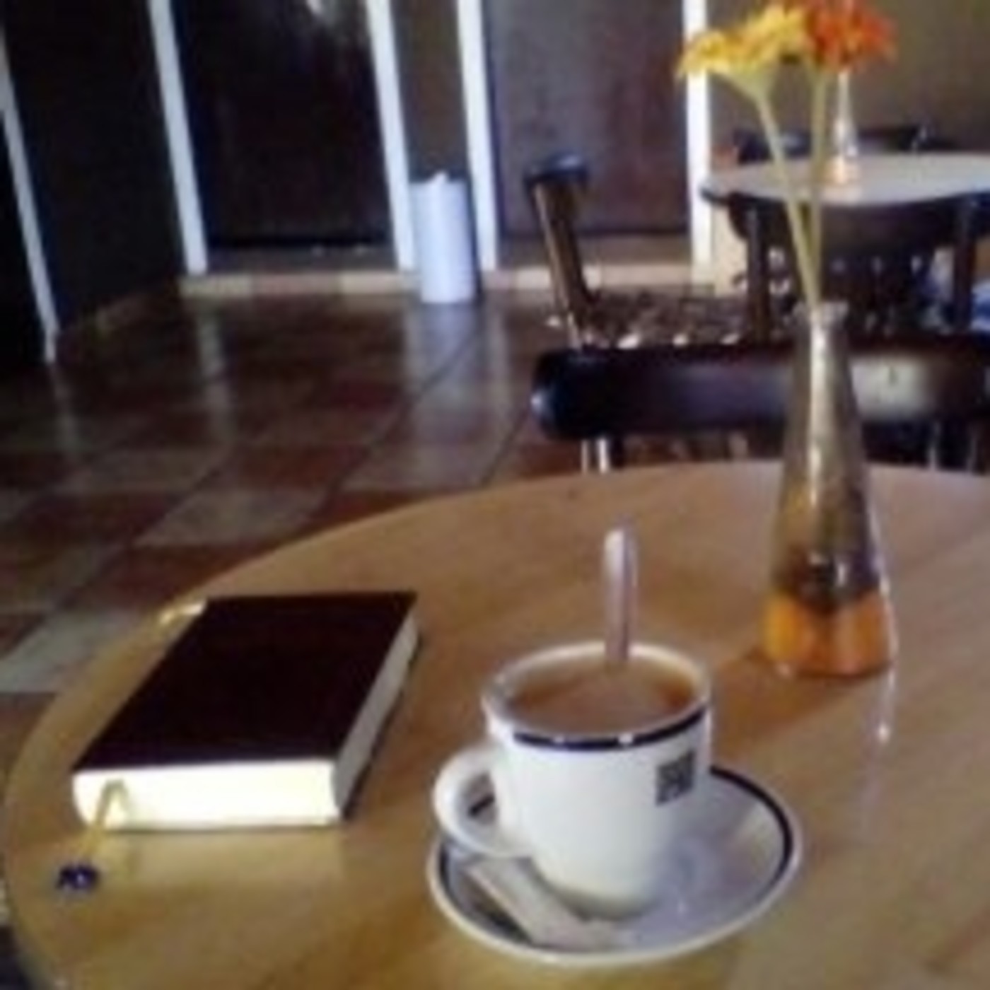 "Tengo 17 años y estoy loca...." T2 Cap 9 "Tengo 17 años y estoy loca...." T2 Cap 9