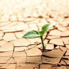 Historias de un jueves 4: Resiliencia