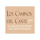 Sonido directo concierto Diego Carrasco Jerez (2)