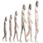 Evolución humana. Del australopithecus al neandertal y Atapuerca con M. Modesto y J.M Bermudez de Castro. 104. LFDLC