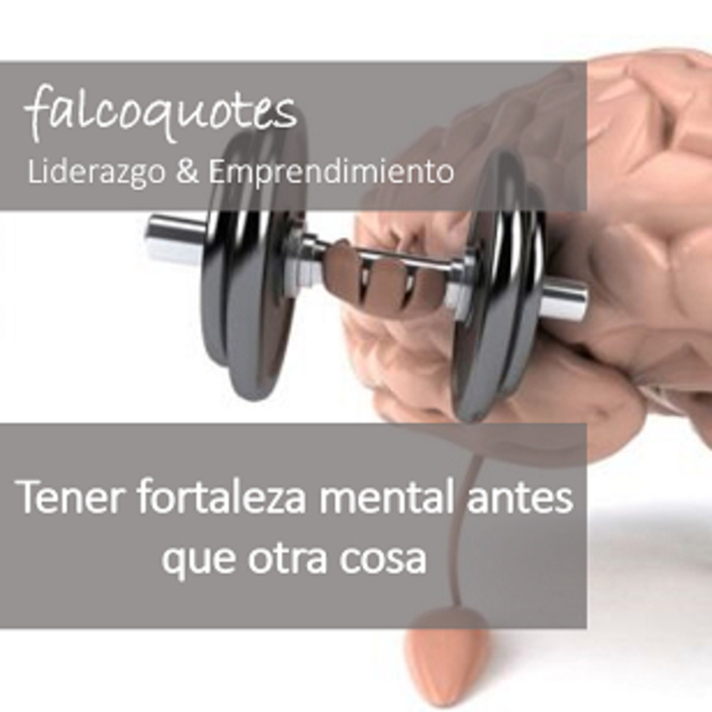 Falcoquotes: Emprendimiento Y Liderazgo