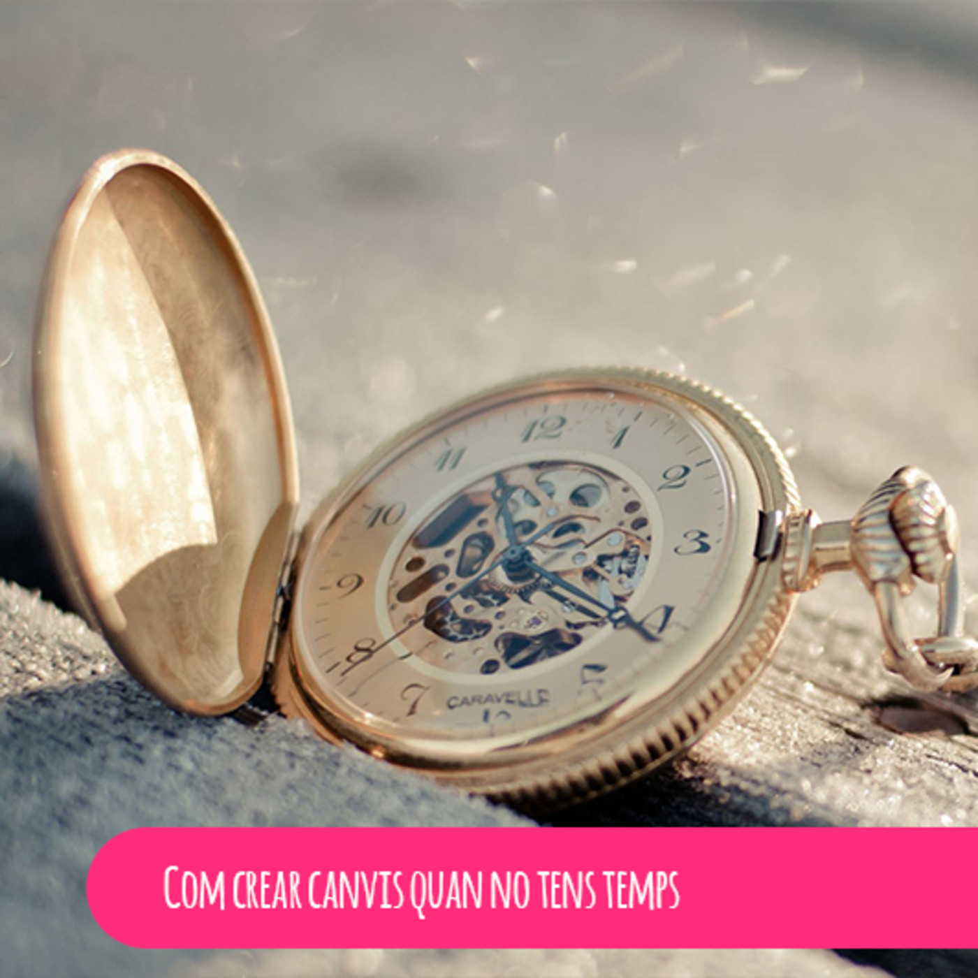 Articles de Becoming.cat