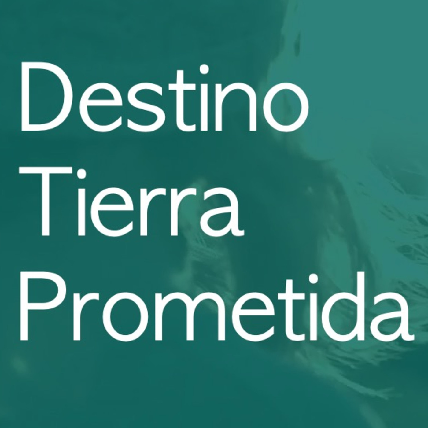 Encuentro con Jesús