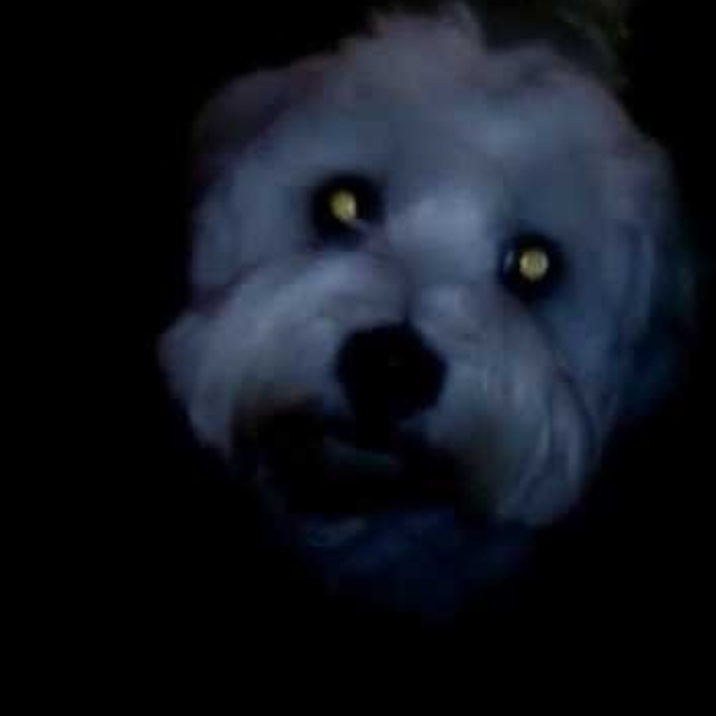 La Luna Fantasma