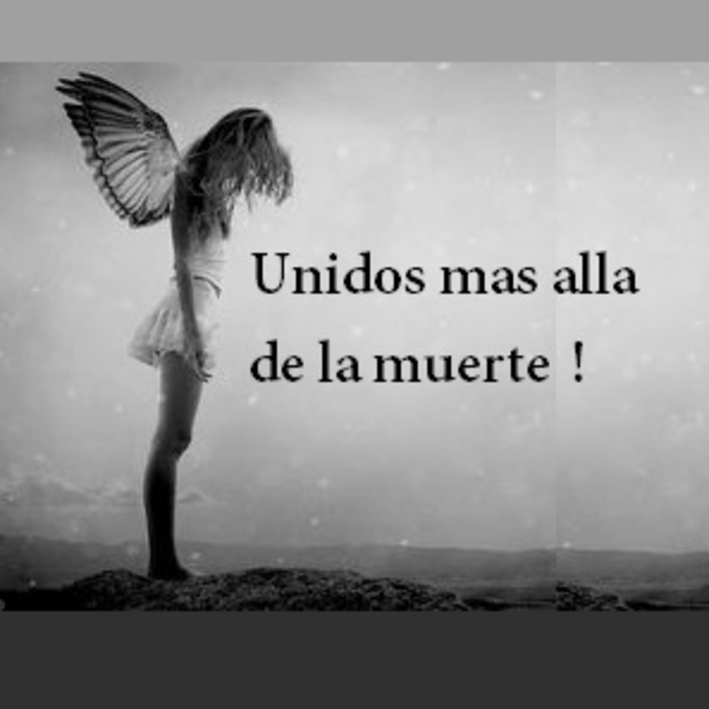 Salud sin limites