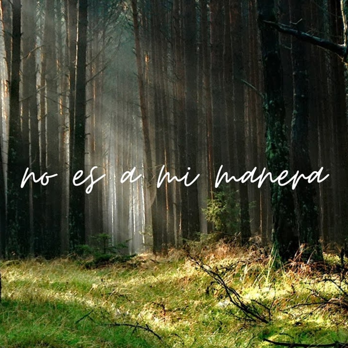 Mensajes y Enseñanas