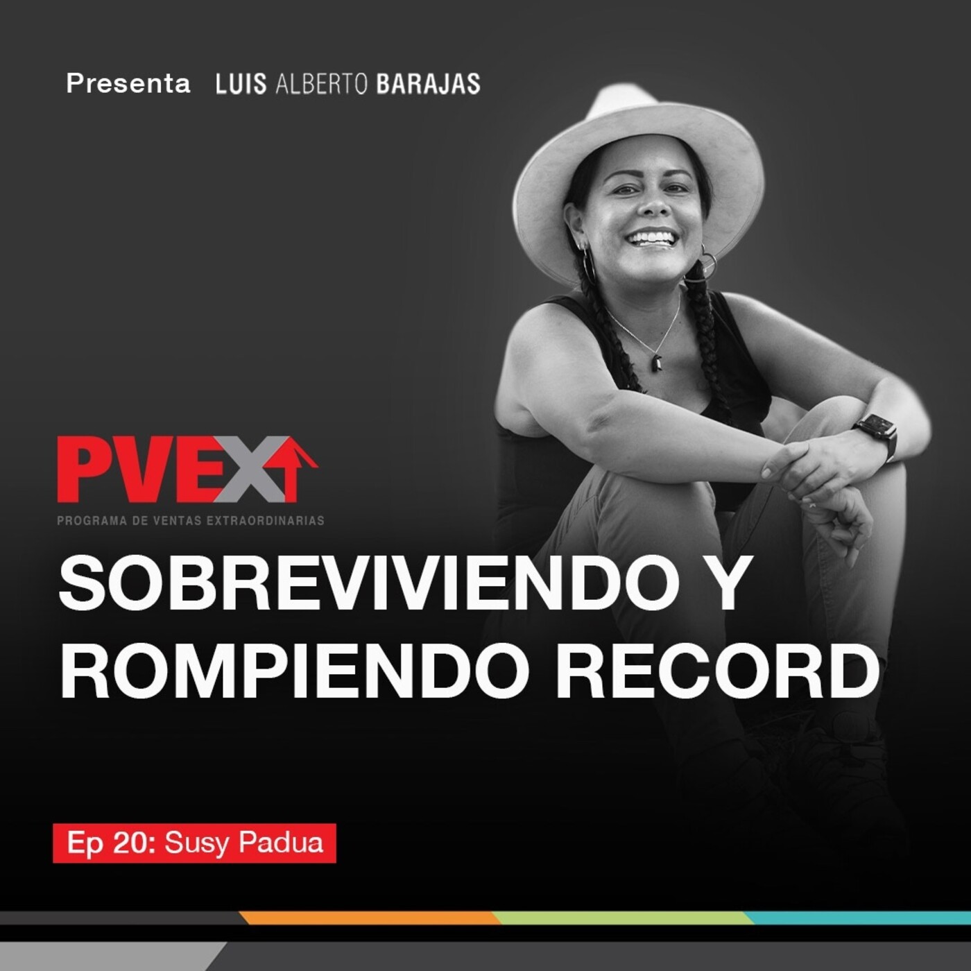 Programa de Ventas Extraordinarias (PVEX)