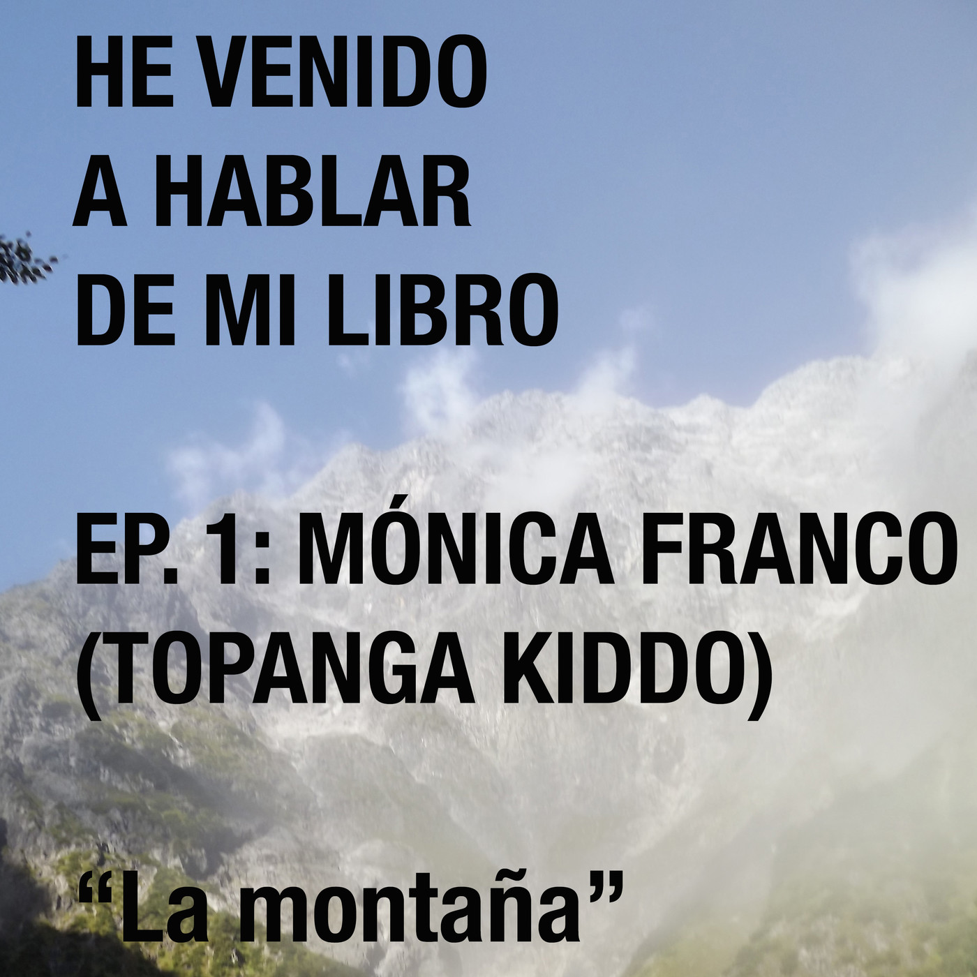 He venido a hablar de mi libro