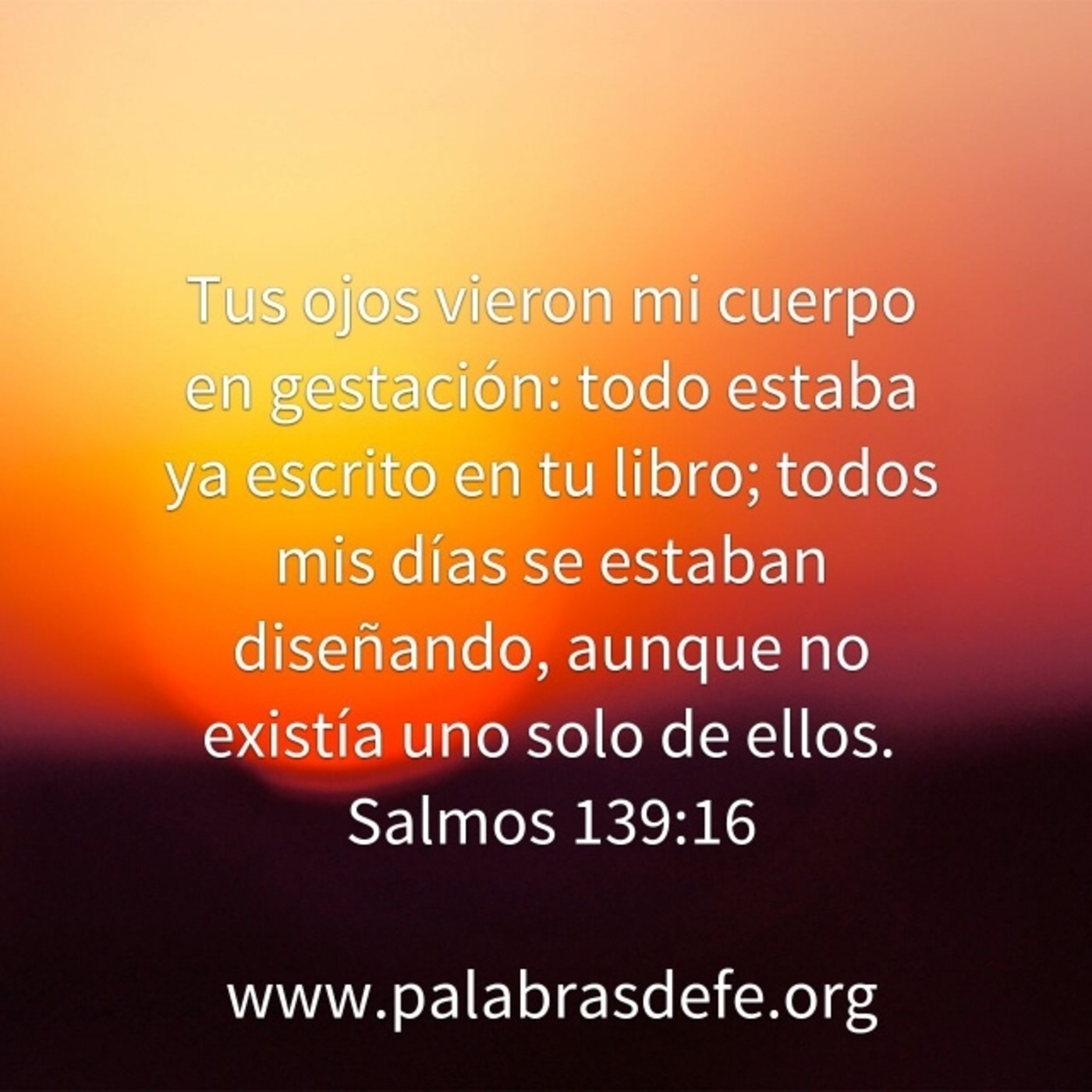 Palabras De Fe - Predicaciones Engelbert Gonzalez