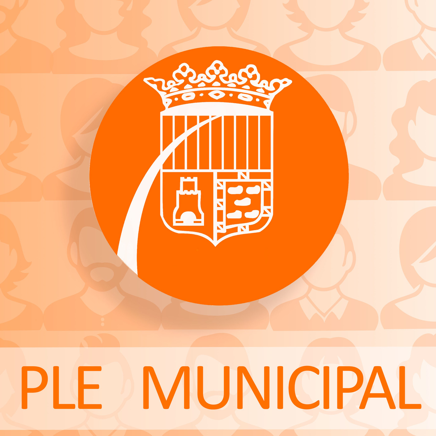Ple municipal de gener 2019. L'anàlisi. episode artwork