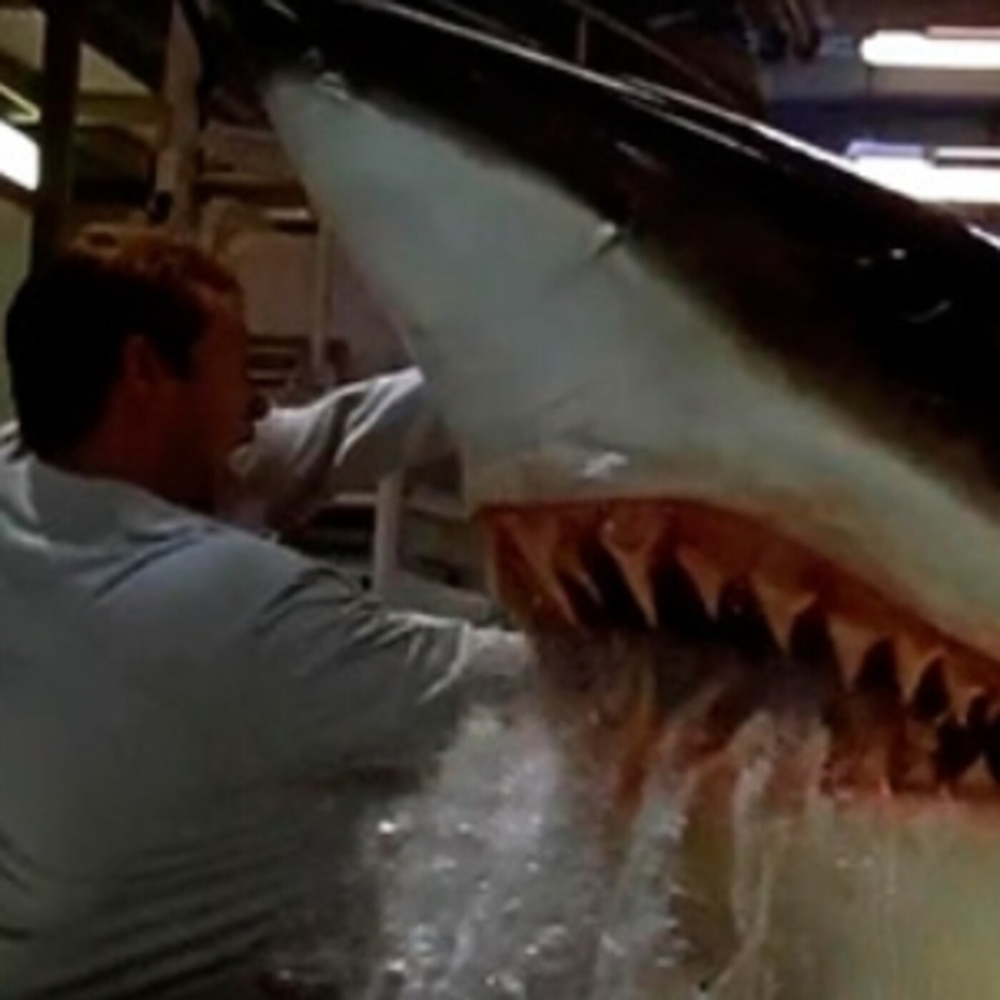 31 días de terror IV #23- Deep Blue Sea (Renny Harlin, 1999) - Episodio exclusivo para mecenas