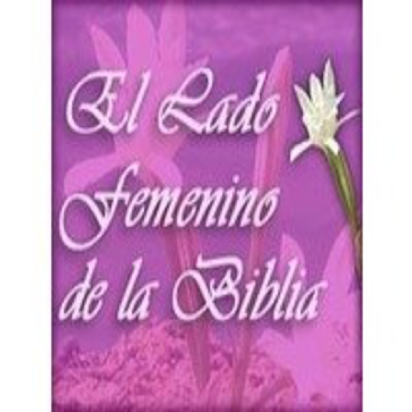 Derechos en la atencion del parto episode artwork