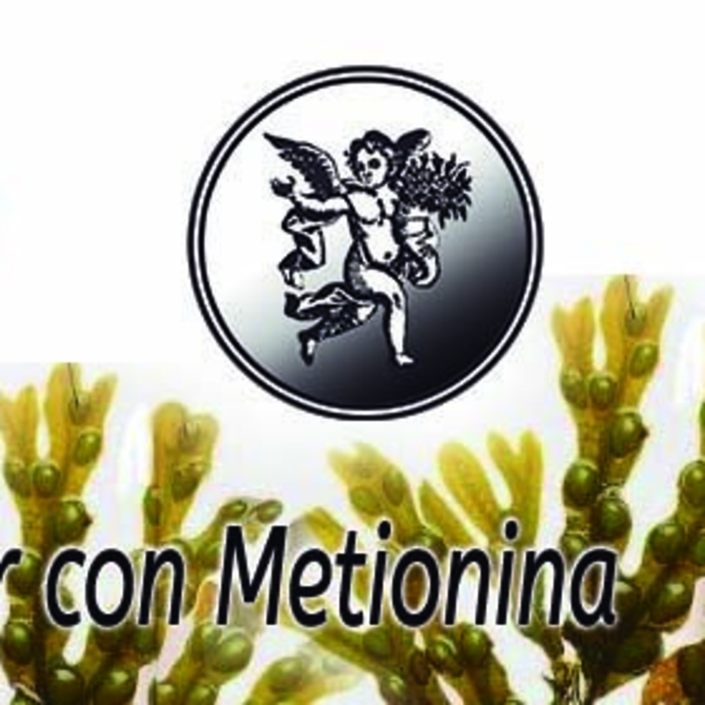 El Ángel de tu Salud - ENCINA DE MAR CON METIONINA episode artwork