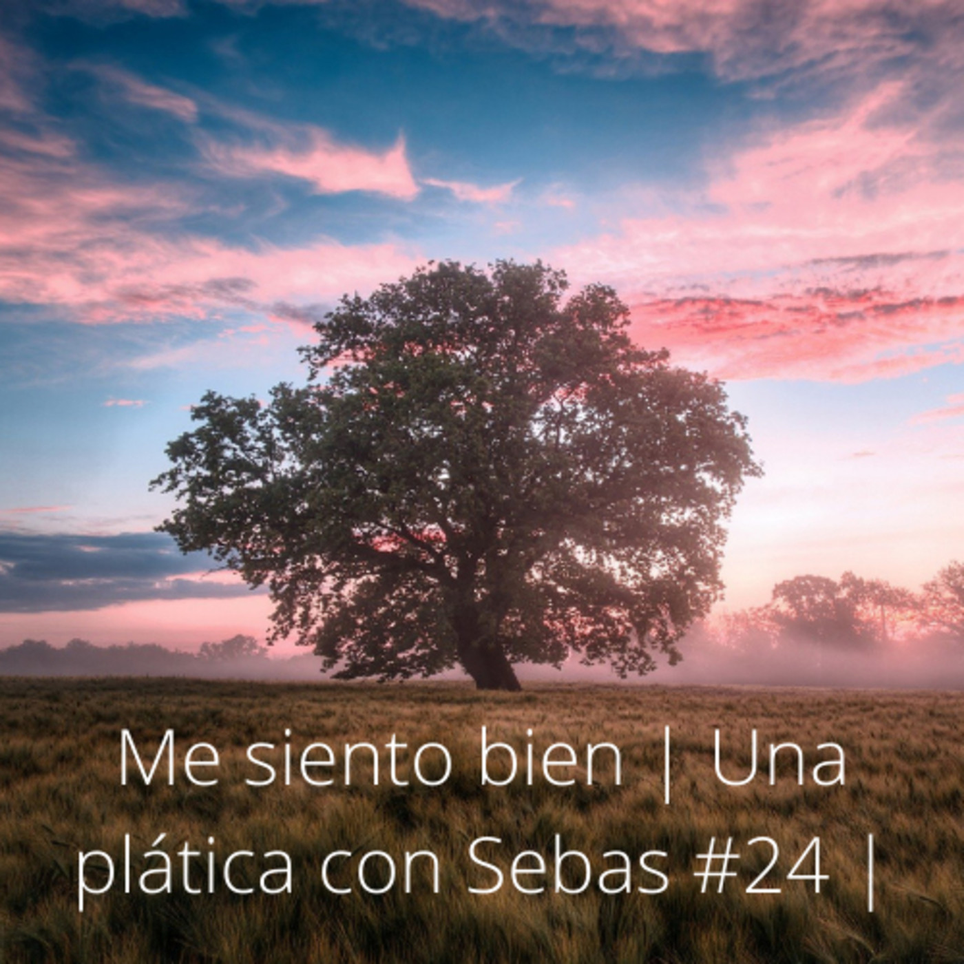 Una platica con Sebas