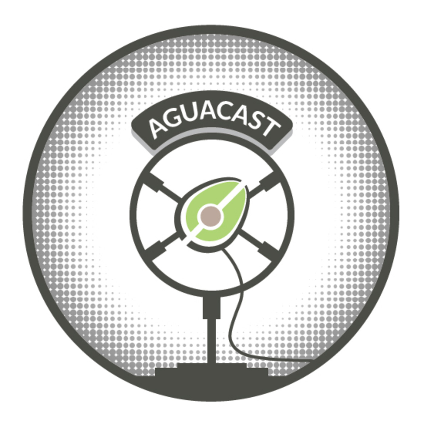 Aguacast