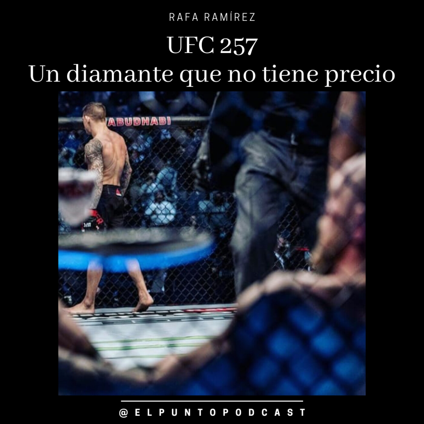 UFC 257 McGregor vs Poirier 2 RESUMEN episode artwork