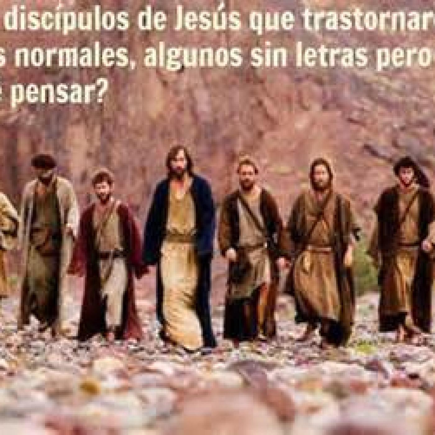 IBCNV PREDICAS