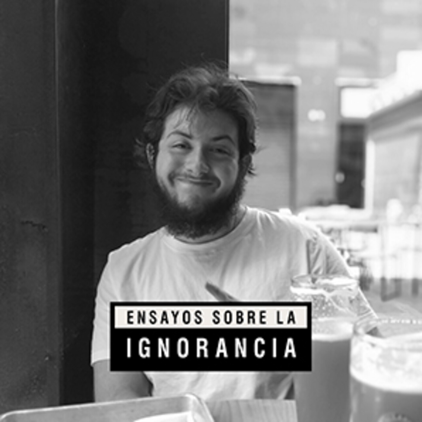 Ensayos sobre la ignorancia
