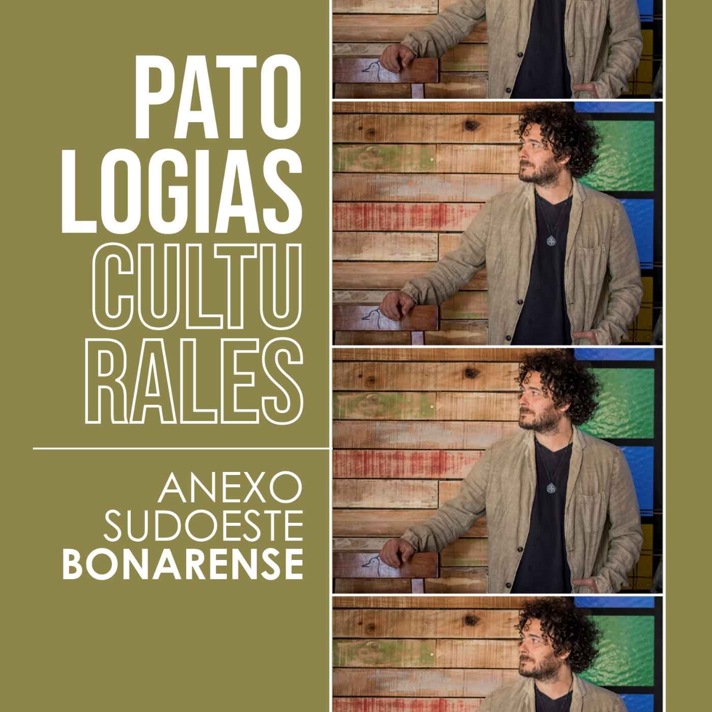 Patologías Culturales