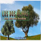 El misterio de los dos olivos – Dr. Dan Ben Avraham