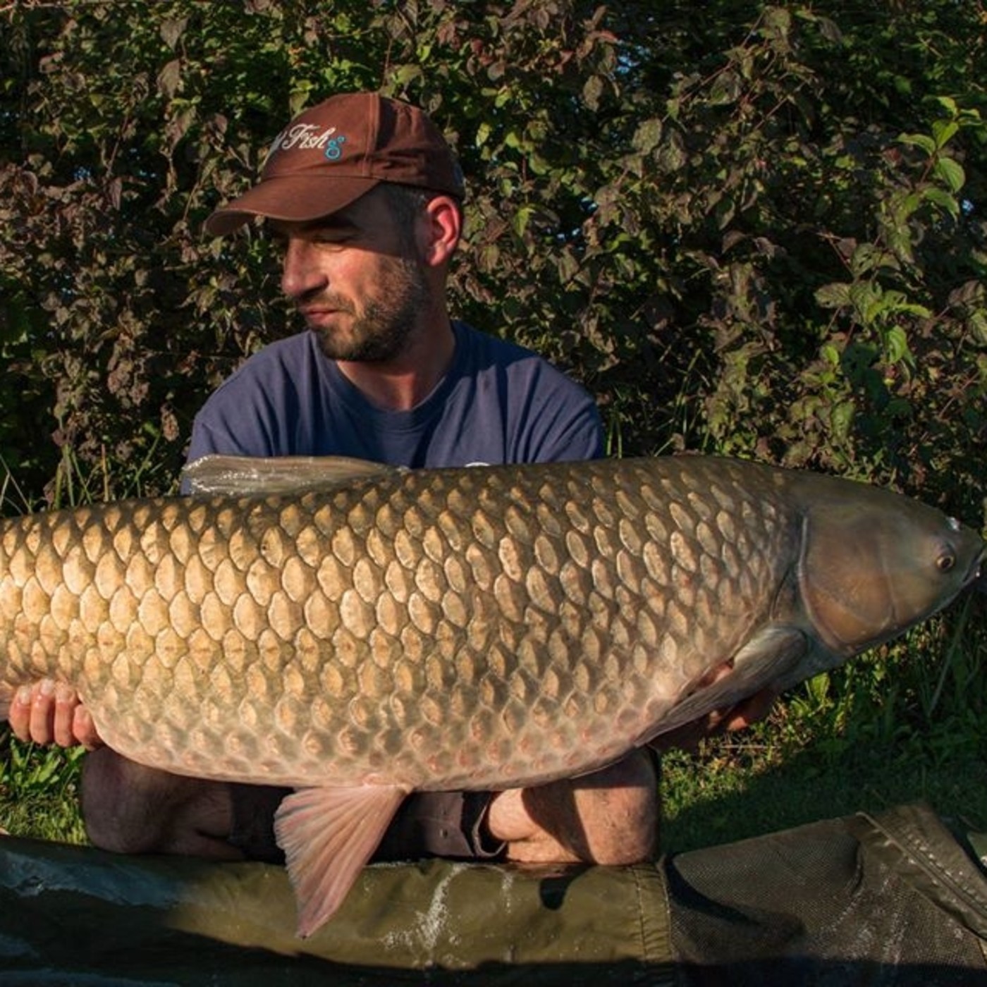 Rio de la Vida pesca