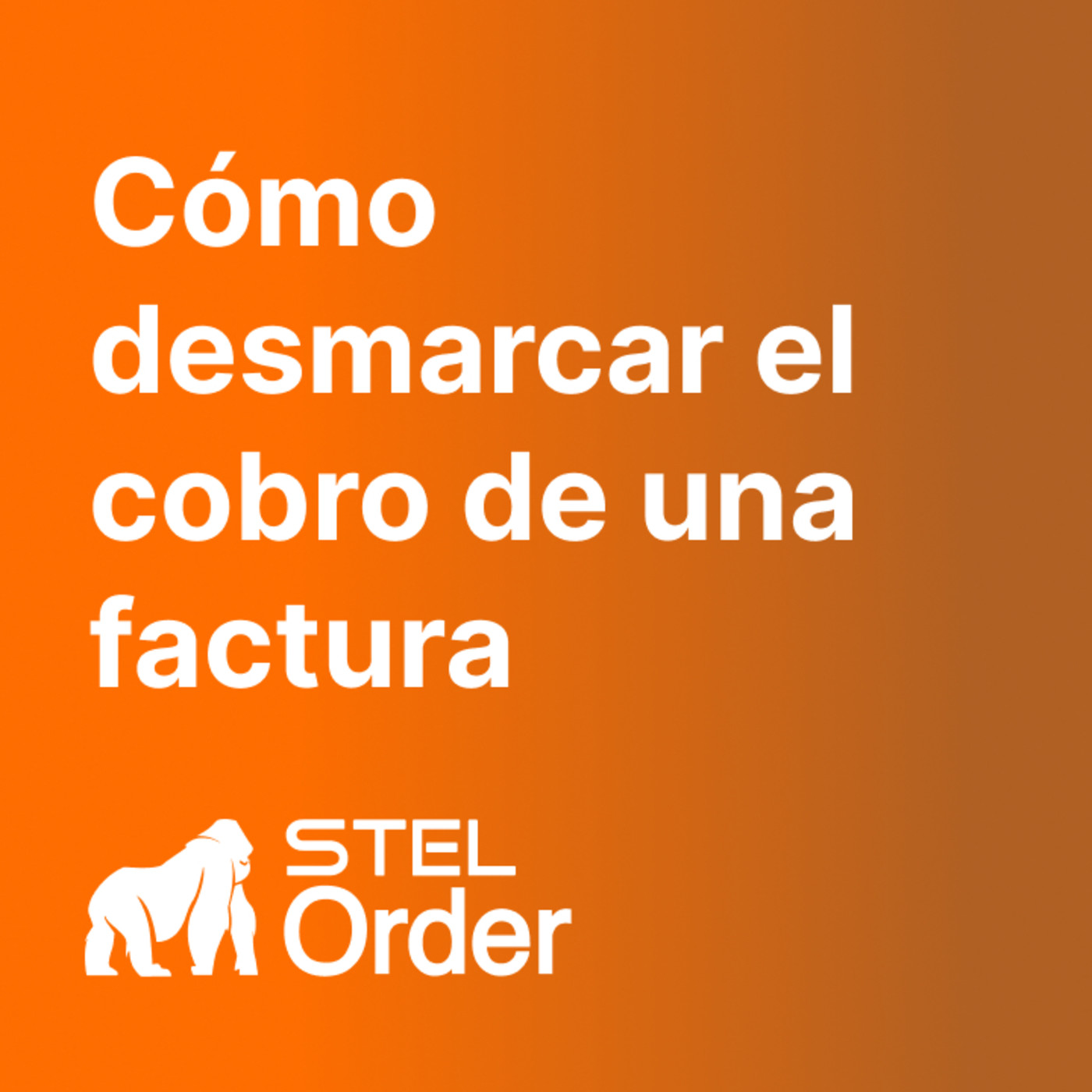 Ayuda y Soporte STEL Order