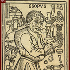 embed image