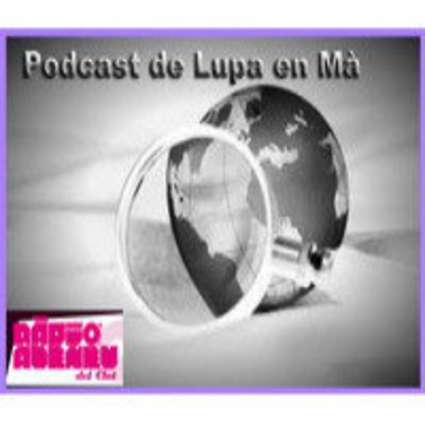 LEM 5-3 13-11-2013 Procés Constituent