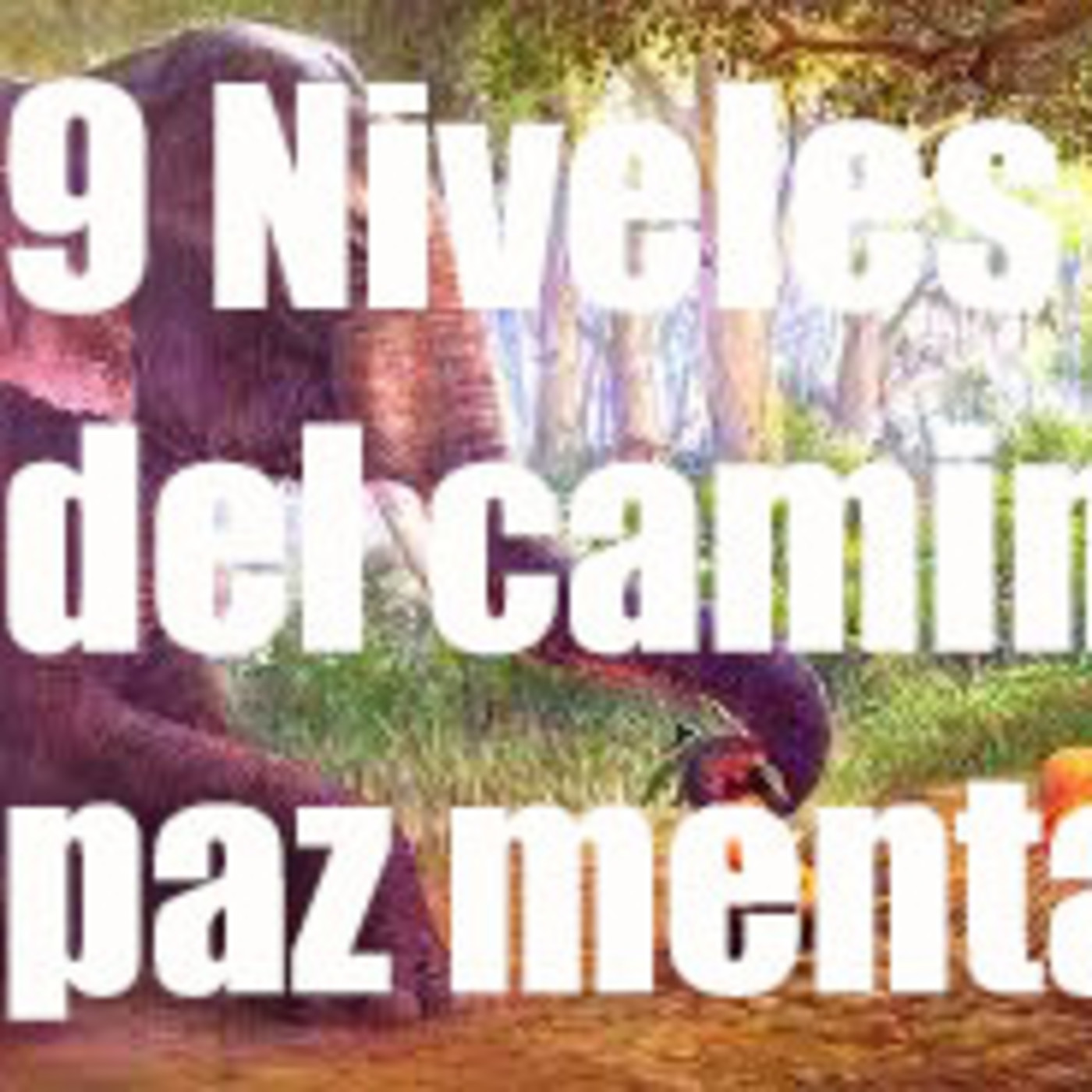 Meditación Budista - 9 Niveles del camino para conseguir la paz mental