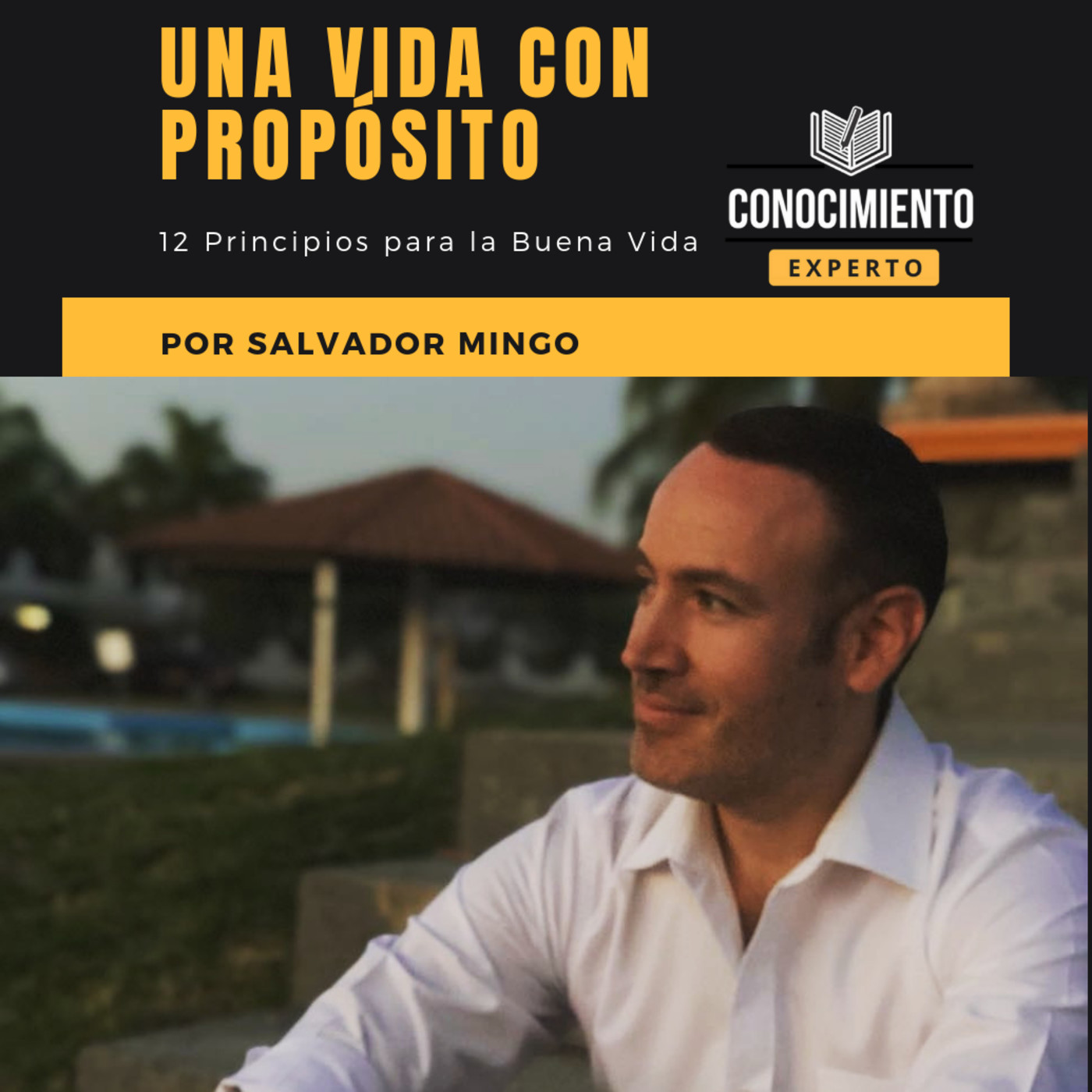 Audio Libro Conocimiento Experto - Detalles Aquí