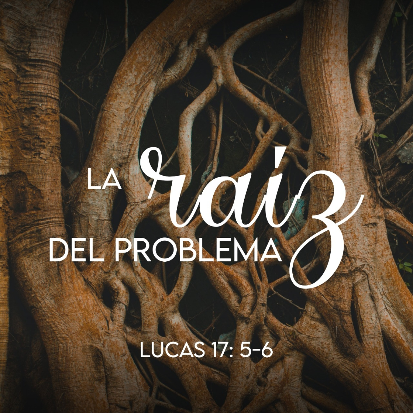 La Raíz del Problema episode artwork